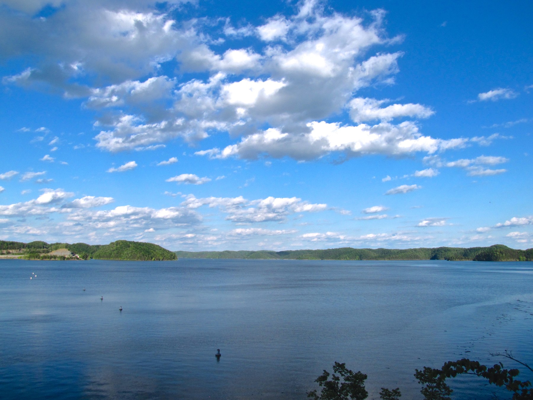 Wooded shoreline and blue water on Lake Cumberland, Kentucky